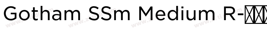 Gotham SSm Medium R字体转换